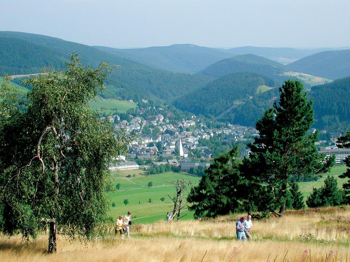 Ferienblockhaus Willingen Mit Meinecardplus Bagian luar foto